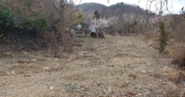 경상남도 창원시 마산합포구 구산면 내포리 OOO O OOO 답 경매 물건 이미지