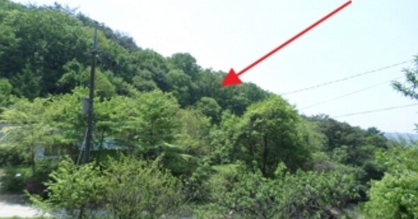 강원도 원주시 지정면 판대리 OOOOOO 임야 경매 물건 이미지