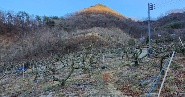 경상남도 창원시 의창구 북면 동전리 OOOOO 과수원 경매 물건 이미지