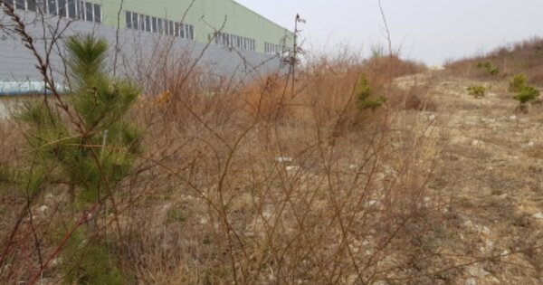 충청남도 당진시 송산면 가곡리 OOOOO O OOO 임야 경매 물건 이미지