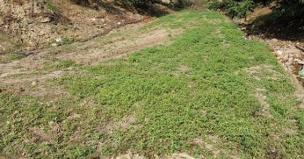 충청남도 청양군 장평면 화산리 O 답 경매 물건 이미지
