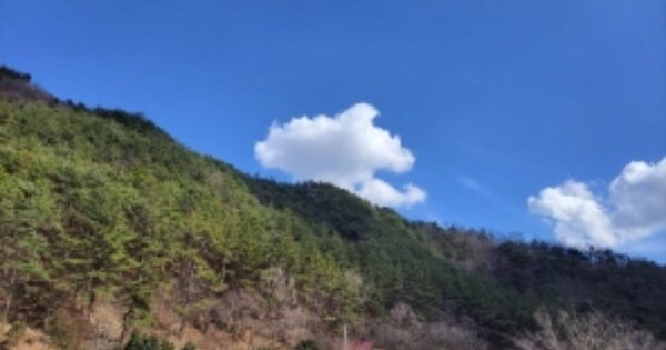 전라남도 순천시 와룡동 OOO O OOO 임야 경매 물건 이미지