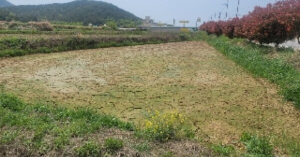 경상남도 거제시 사등면 덕호리 OOOOOO 답 경매 물건 이미지