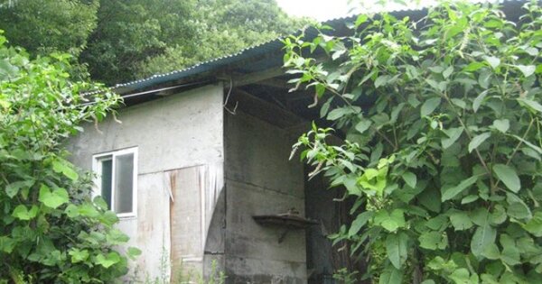 경상북도 문경시 농암면 내서리 OOOOO O OOO 전 경매 물건 이미지