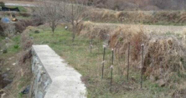 경상남도 남해군 창선면 진동리 OOOOO O OOO 답 경매 물건 이미지