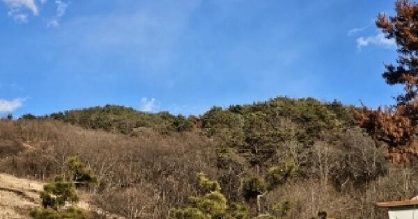 경상남도 하동군 적량면 고절리 959 전 경매 물건 이미지