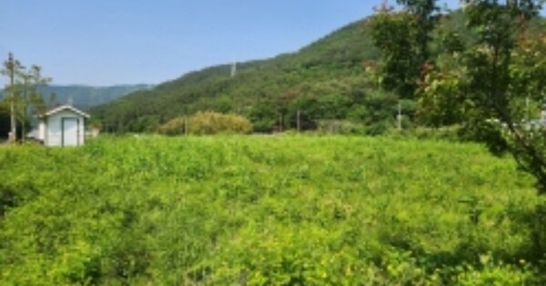 경상남도 고성군 상리면 자은리 OOO 전 경매 물건 이미지
