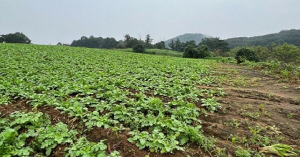 경기도 여주시 흥천면 복대리 OOOO 전 경매 물건 이미지