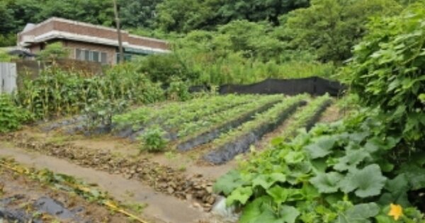 충청북도 충주시 대소원면 대소리 OOOO 대지 경매 물건 이미지