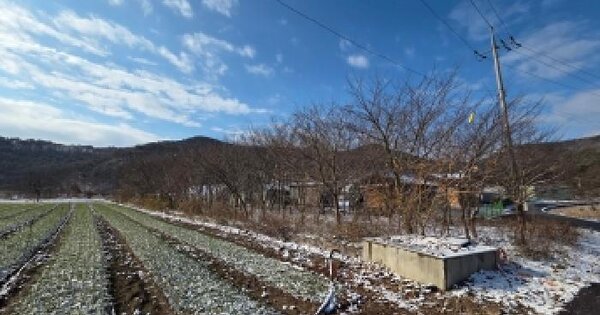 전북특별자치도 부안군 진서면 운호리 110 전 경매 물건 이미지