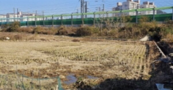 전라북도 정읍시 농소동 OOOOO 답 경매 물건 이미지