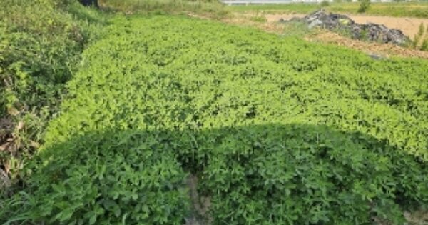 충청북도 충주시 중앙탑면 장천리 OOO 전 경매 물건 이미지