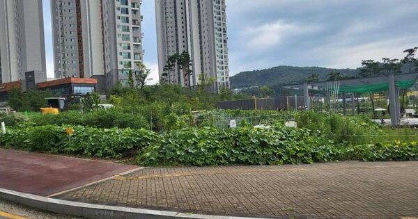 충청북도 충주시 호암동 OOOO 대지 경매 물건 이미지