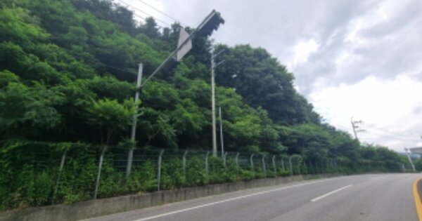 경기도 가평군 청평면 청평리 OOOOO 전 경매 물건 이미지