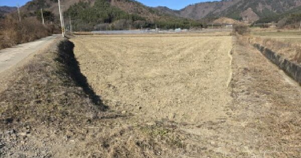 전라남도 장흥군 용산면 운주리 488-1 답 경매 물건 이미지