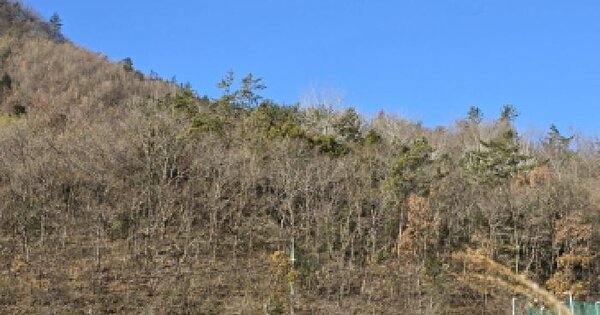 전라남도 장흥군 부산면 지천리 383 전 경매 물건 이미지