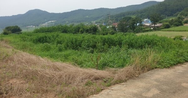 전라남도 함평군 손불면 양재리 OOOOO 전 경매 물건 이미지