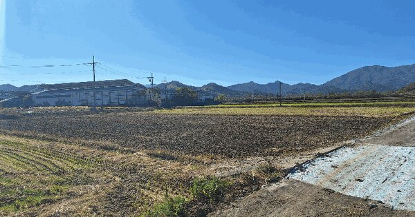 전라남도 장흥군 용산면 모산리 산241-1 임야 경매 물건 이미지