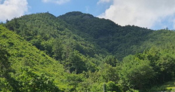 전라남도 장흥군 장동면 만년리 산23 임야 경매 물건 이미지