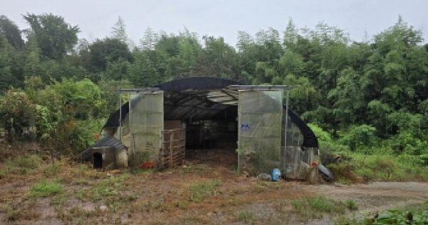 전라남도 강진군 신전면 벌정리 722 과수원 경매 물건 이미지