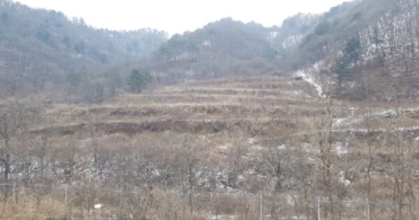 강원특별자치도 화천군 상서면 부촌리 OOO 전 경매 물건 이미지