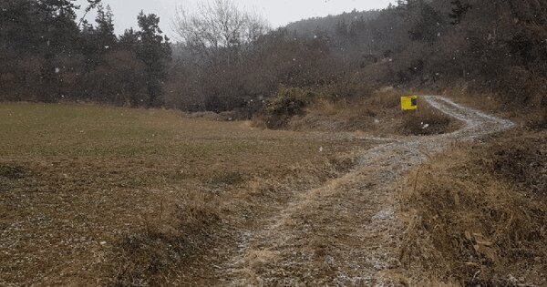 전남광주통합특별시 함평군 손불면 학산리 488 전 경매 물건 이미지