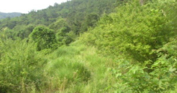 경상남도 진주시 금산면 갈전리 OO 전 경매 물건 이미지