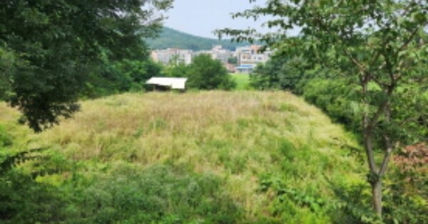 충청남도 천안시 서북구 성환읍 성월리 OOOOO 전 경매 물건 이미지
