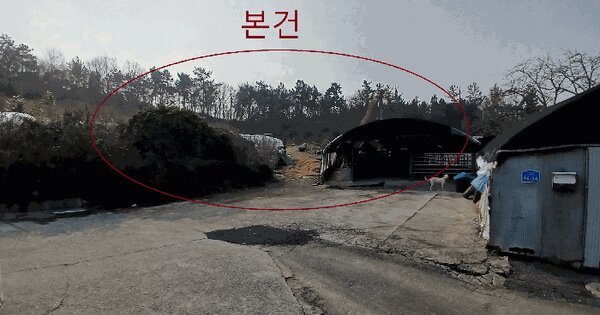 전라남도 영암군 삼호읍 용당리 789 전 경매 물건 이미지