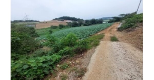 전라남도 무안군 해제면 광산리 OO 전 경매 물건 이미지