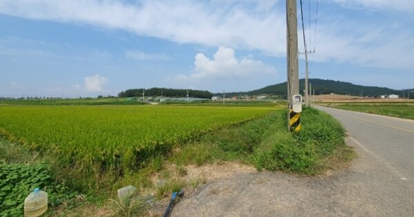 전라남도 무안군 해제면 유월리 OOOOO 답 경매 물건 이미지