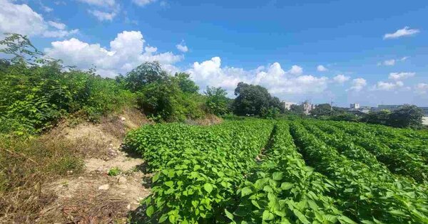 경기도 여주시 천송동 OOOOO 임야 경매 물건 이미지
