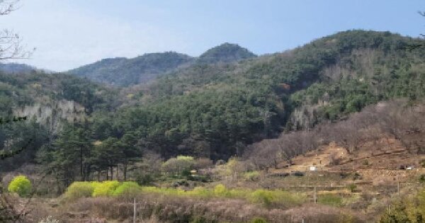 전라남도 순천시 낙안면 창녕리 516 전 경매 물건 이미지