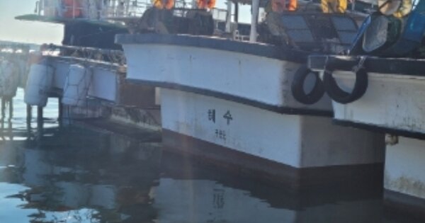경상북도 포항시 OO OOOO 선박 경매 물건 이미지