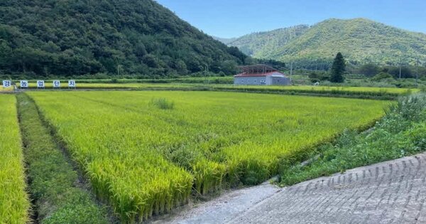 경상남도 남해군 삼동면 봉화리 OOOO 답 경매 물건 이미지