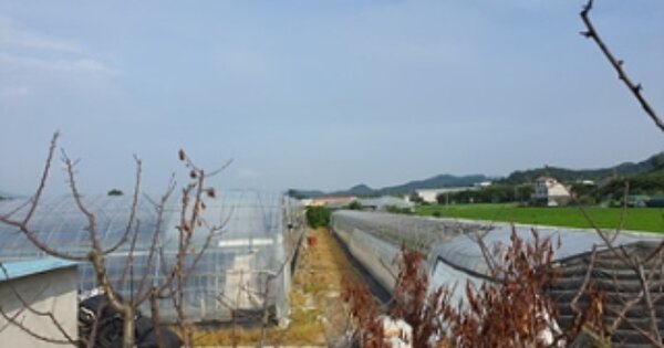 경상남도 김해시 한림면 가동리 OOO 답 경매 물건 이미지