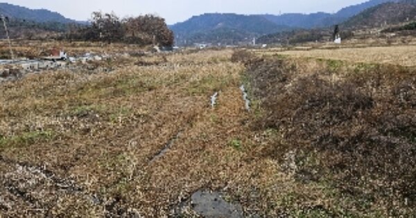 전라남도 보성군 문덕면 동산리 OOOO 답 경매 물건 이미지