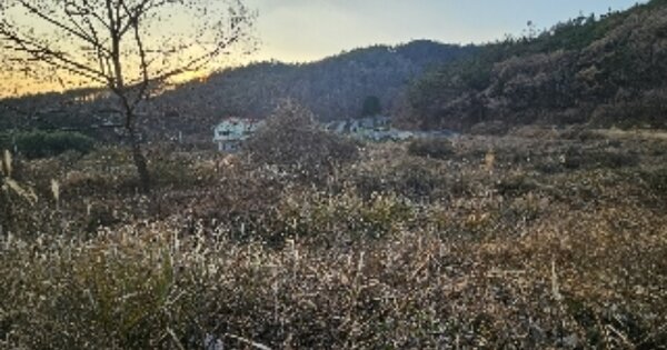 전라남도 보성군 노동면 옥마리 OOO 답 경매 물건 이미지