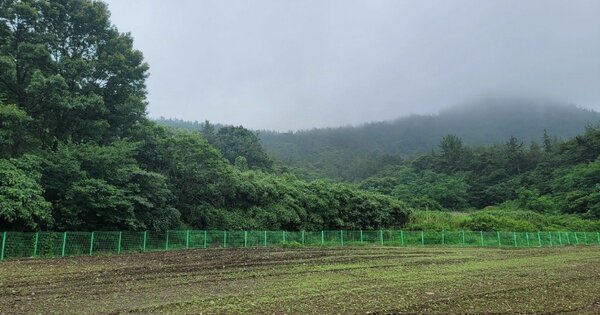 전라남도 장흥군 관산읍 지정리 OOOOO 전 경매 물건 이미지