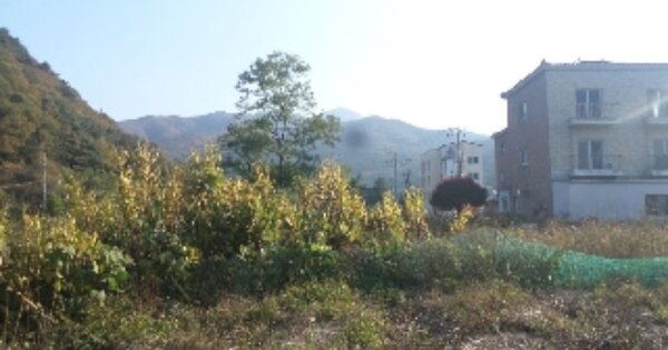 전라북도 무주군 설천면 심곡리 OOOOO O OOO 답 경매 물건 이미지