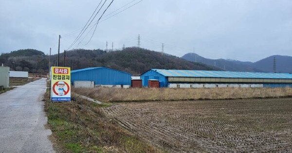 전라남도 강진군 성전면 월하리 OOOOO 답 경매 물건 이미지