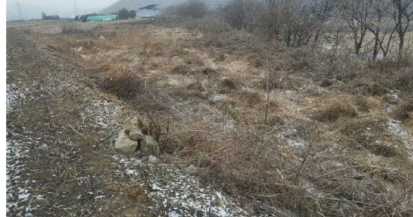 경기도 연천군 군남면 황지리 OOO O OOO 답 경매 물건 이미지