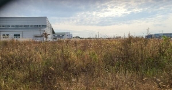 전라남도 나주시 왕곡면 덕산리 OOOOO 공장용지 경매 물건 이미지