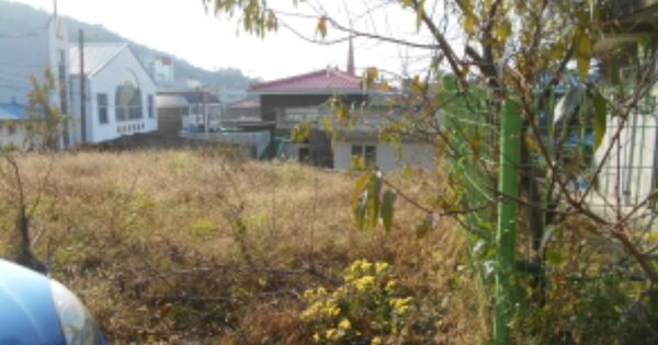대전광역시 중구 문화동 OO 대지 경매 물건 이미지