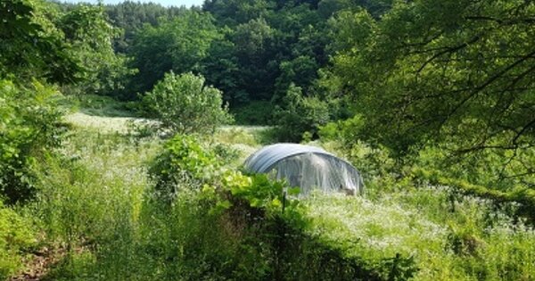 경상북도 군위군 산성면 화전리 OO O OOO 답 경매 물건 이미지