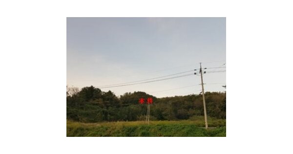 경상북도 영덕군 강구면 하저리 OOOOO 임야 경매 물건 이미지