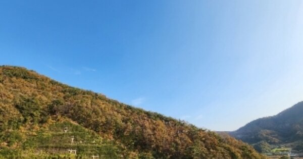 충청북도 영동군 심천면 길현리 OOO 임야 경매 물건 이미지