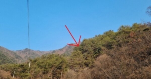 강원특별자치도 영월군 무릉도원면 무릉리 OOO 임야 경매 물건 이미지