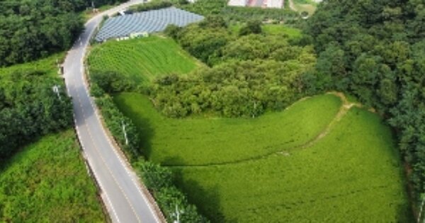 경상북도 김천시 남면 봉천리 OOOOOO 답 경매 물건 이미지