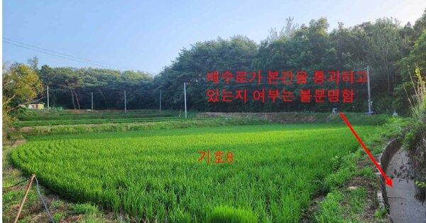 충청남도 보령시 웅천읍 두룡리 OOO O OOO 답 경매 물건 이미지